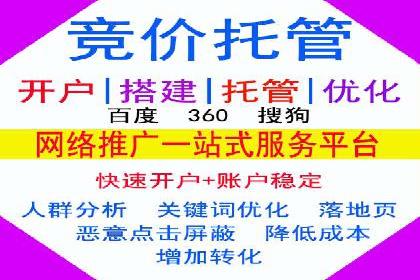 实战经验：竞价推广公司成功案例解析